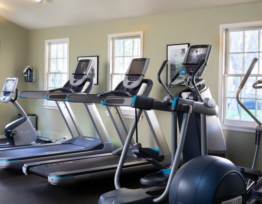 Gym Treadmills