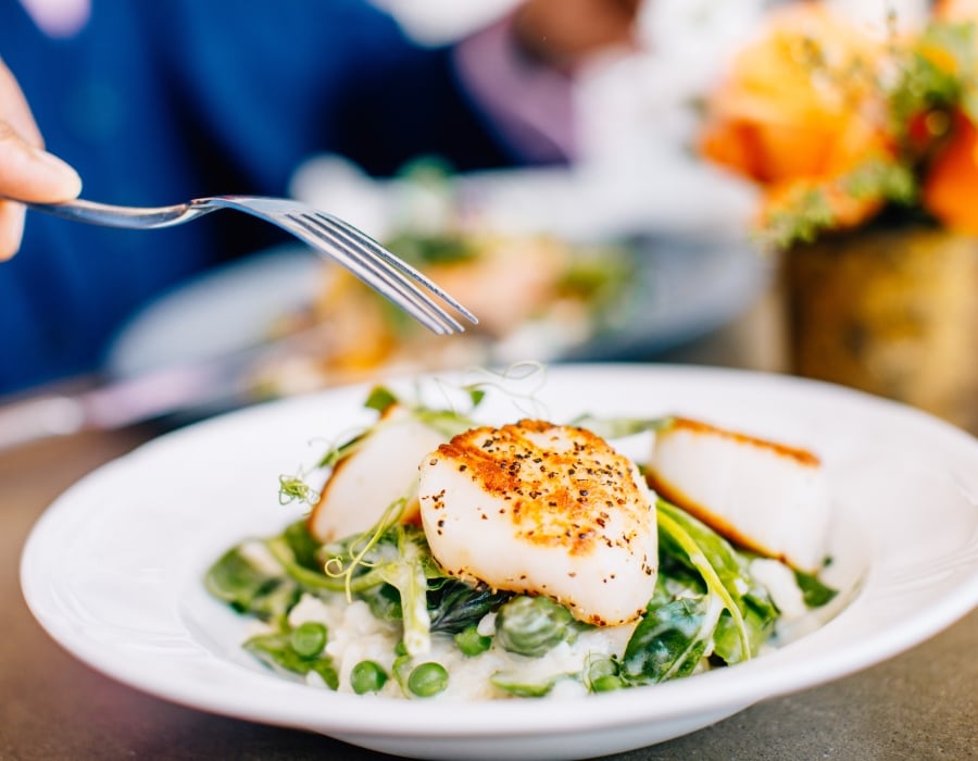 Scallops