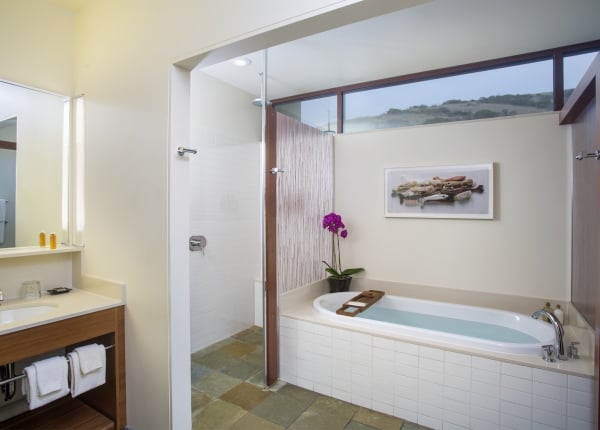 Bathroom Contemporary King Suite