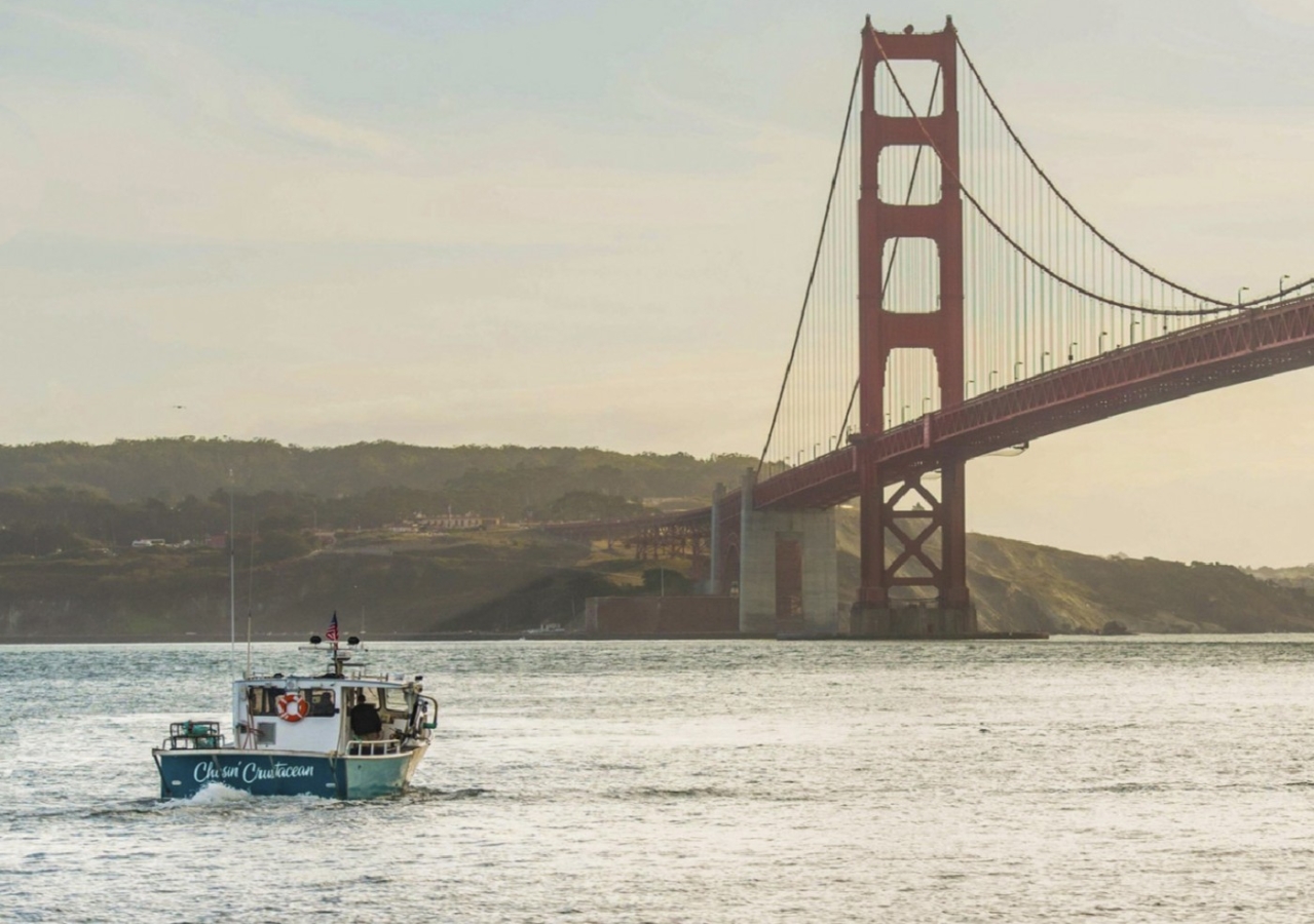 Charter fishing under Golden Gate Bridge