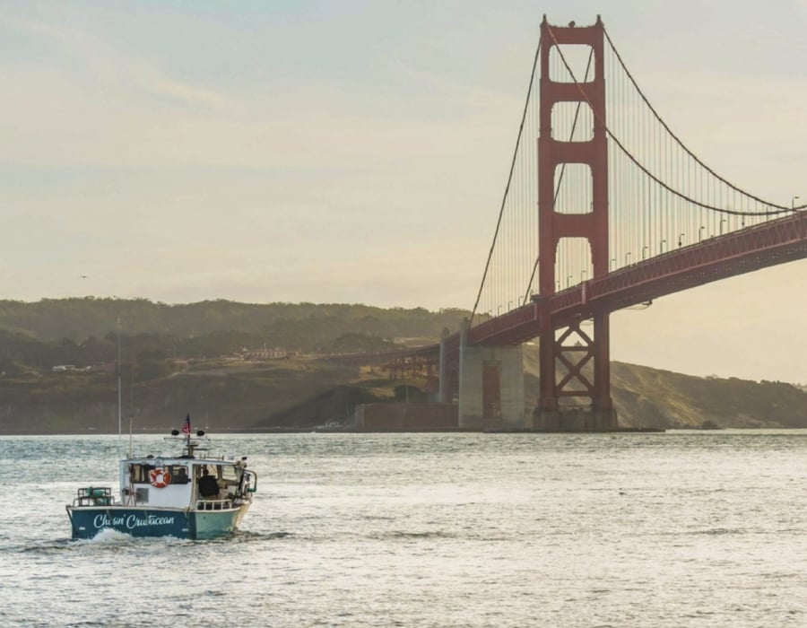 Charter fishing under Golden Gate Bridge