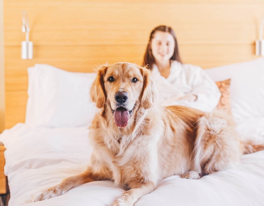 woman and dog in bed