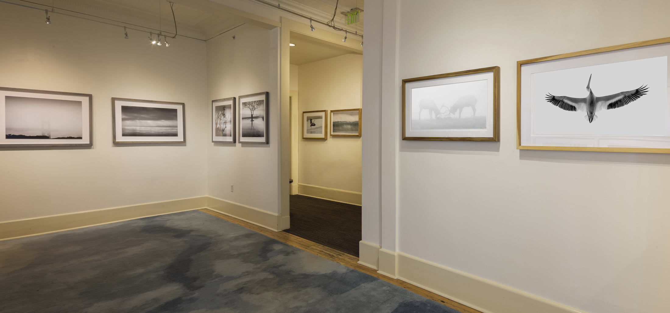 art gallery walls