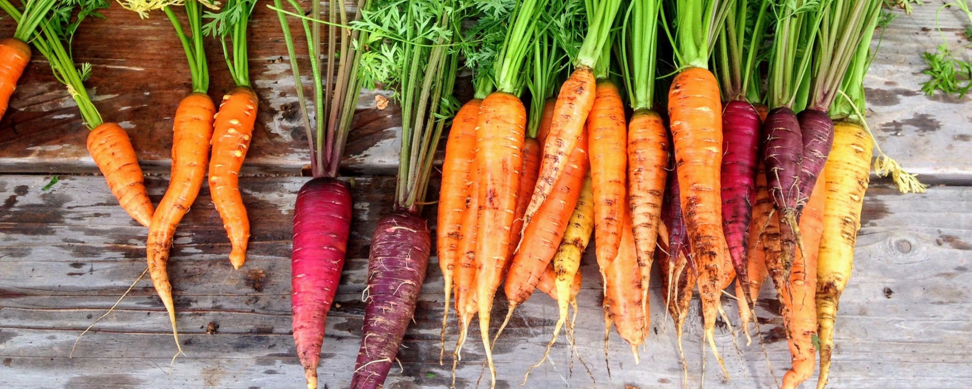 carrots farmers market