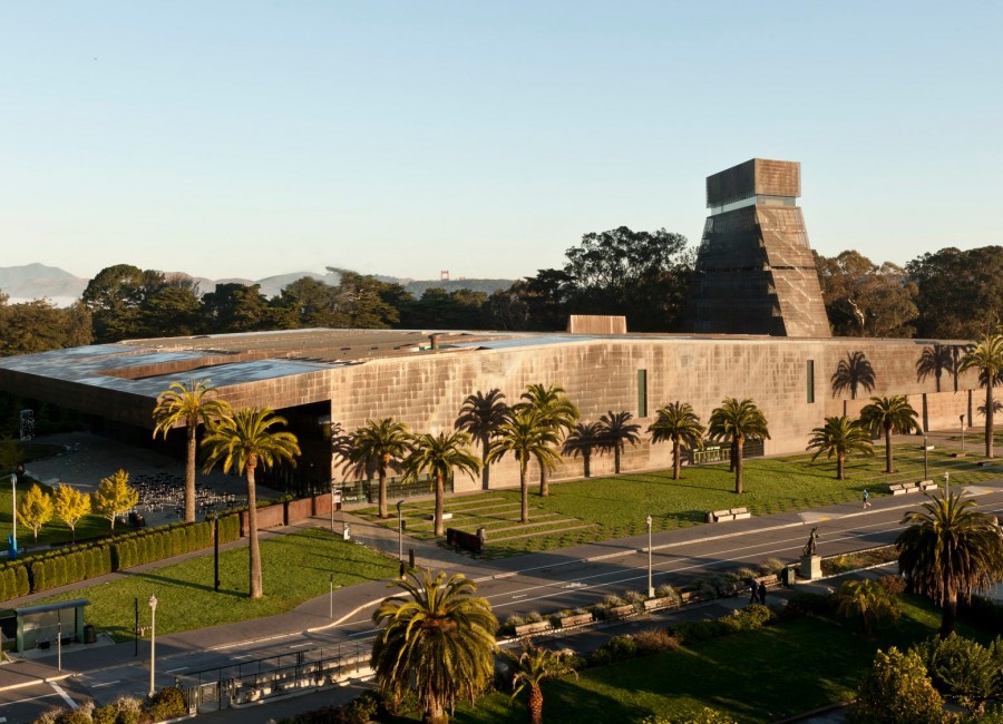 deyoung museum