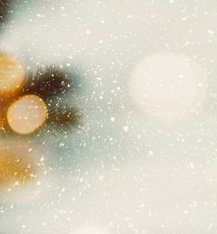 Holiday Season
