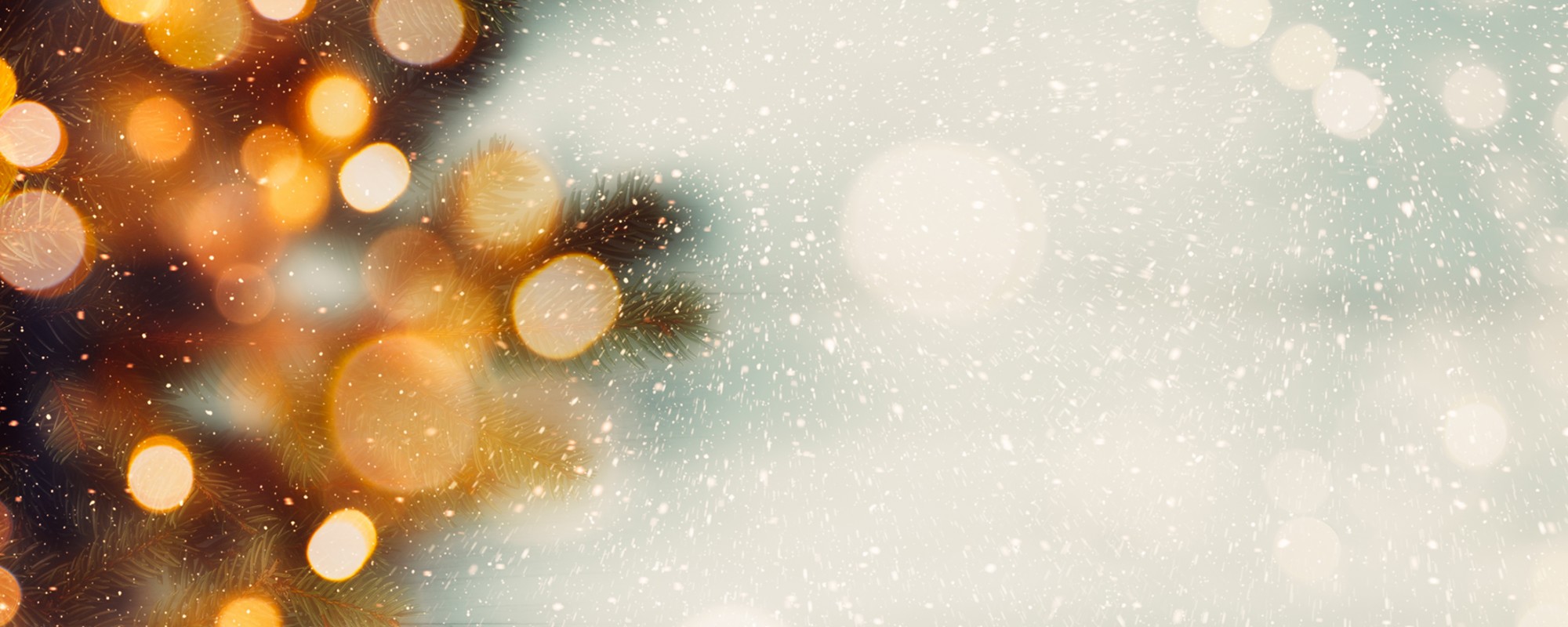 Holiday Season