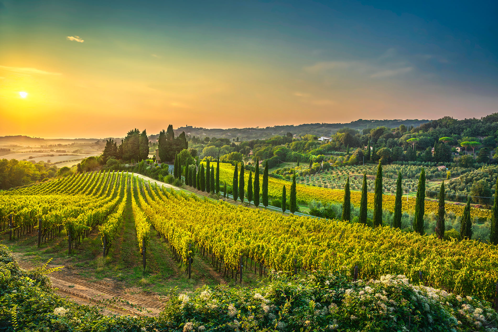 tuscan countryside