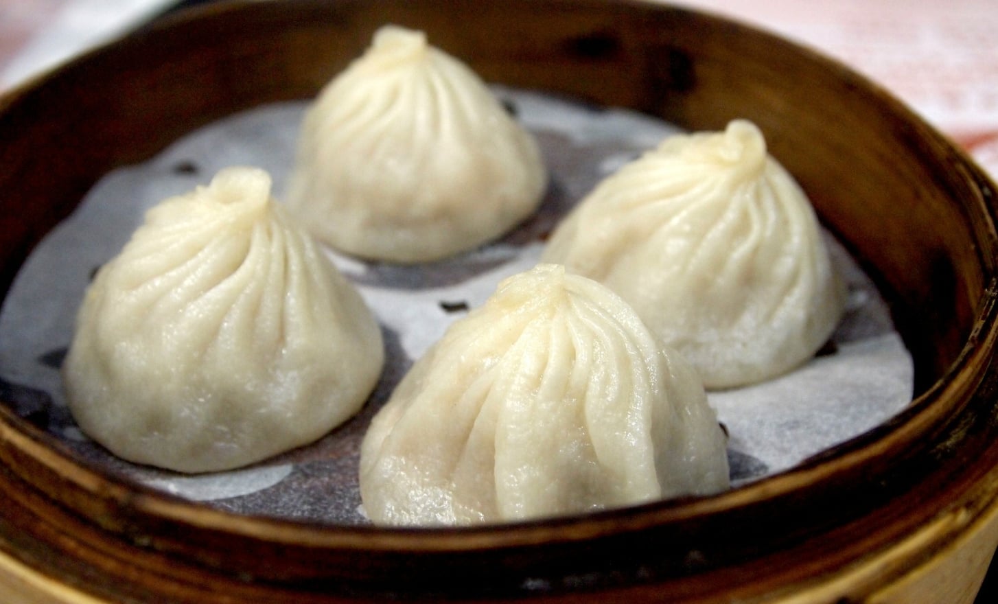 dumpling and dim sum