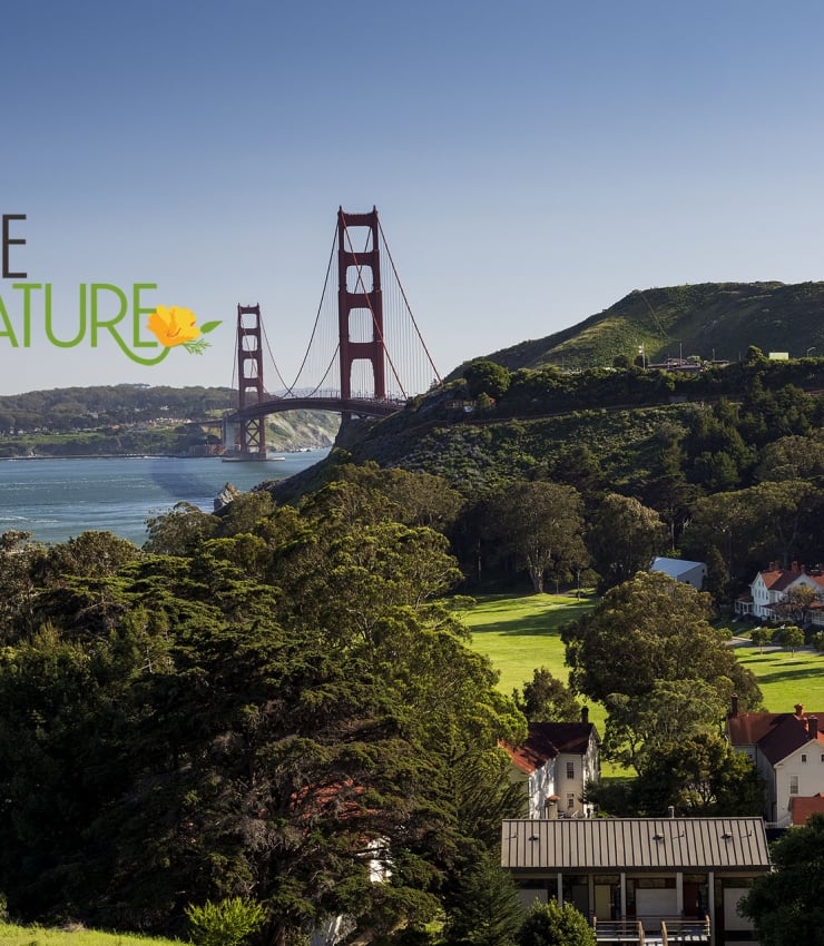 Cavallo Point Resort grounds nestled alongside the water with a view of the Golden Gate Bridge
